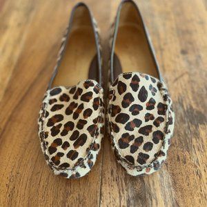 Patricia Green Driving Loafer Moccasins - Leopard